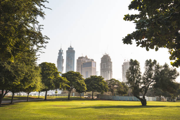 dubai skyline from the park