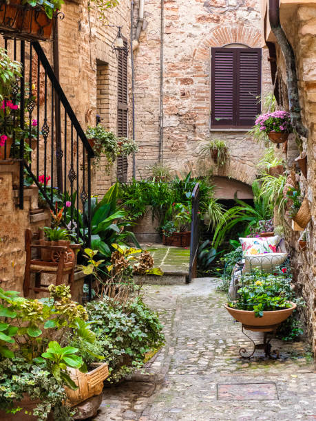 istock Characteristic glimpse in the medieval center with plants and flowers 2186997311