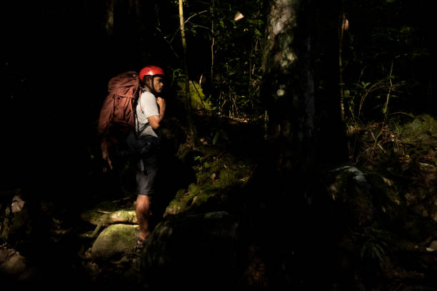istock a man with a backpack walking in the forest-Stock Photo 2187003765