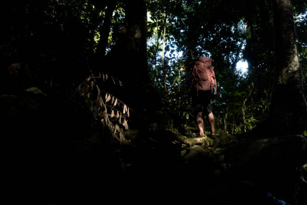 istock a man with a backpack walking in the forest-Stock Photo 2187003830