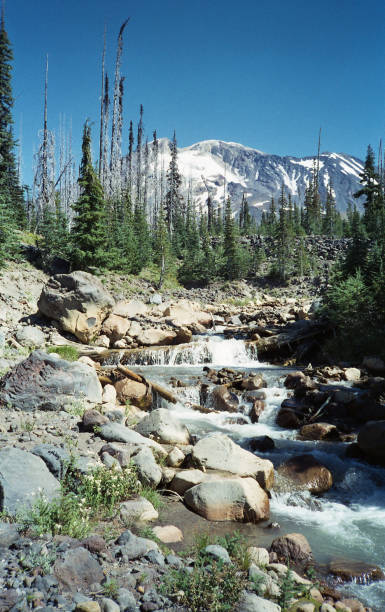 istock Creek and Mt. Adams on film 2187003914