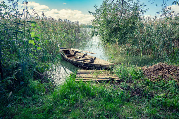 A serene and tranquil lakeside view showcasing an old, weathered boat, embraced by vibrant, lush greenery all around
