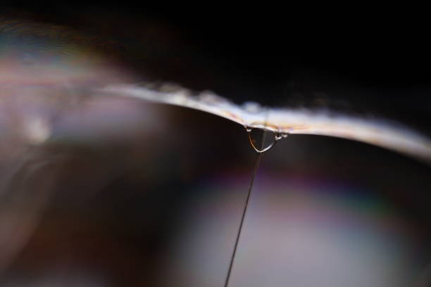 Close Up of Dew Drops Hanging on Spider Web Threads