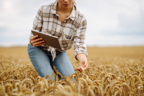 istock Smart farm. Young Female farmer with tablet in the field. 2187005896