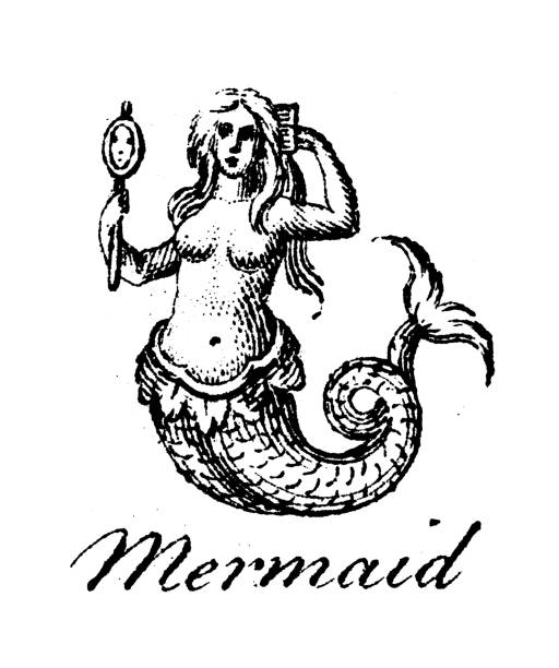 Heraldry, coat of arms elements and families: Mermaid