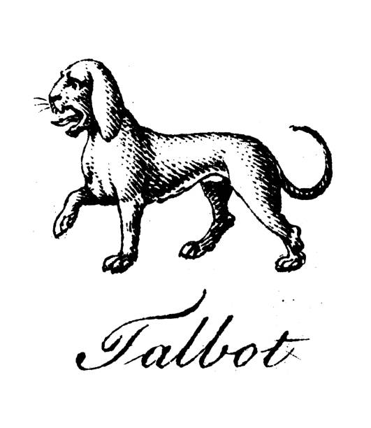 Heraldry, coat of arms elements and families: Talbot