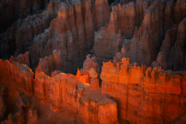 Rocks at sunrise in Bryce National Park III, Utah
