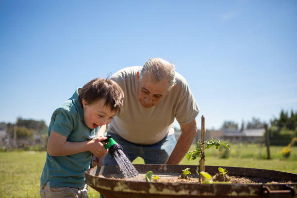 Grandfather and grandson watering vegetable patch