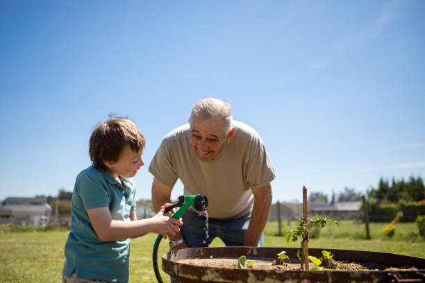 istock Grandfather and grandson watering vegetable patch 2187013283