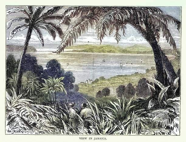 istock View in Jamaica, 18th Century  vintage illustration 2187013843