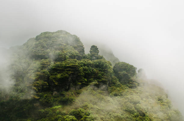 istock Fanjin Shan 2187013858