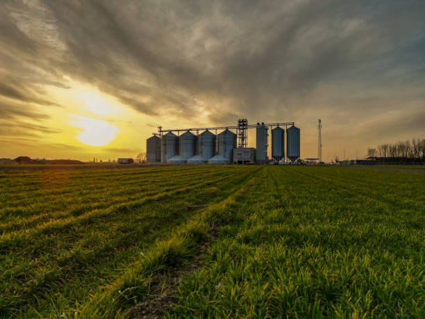 istock Sunset Over Farm Silo on Agricultural Field 2187016287