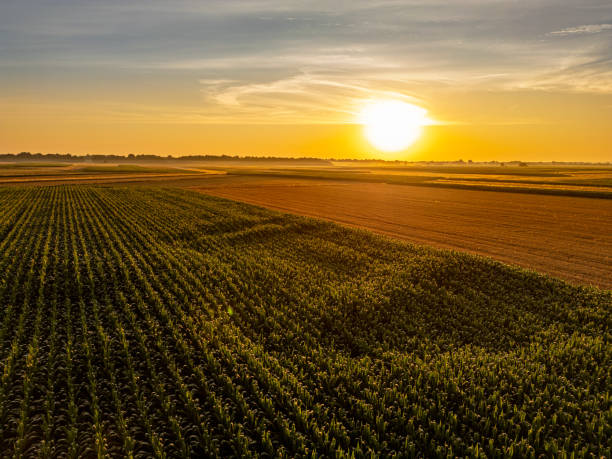 istock Sunset Over Lush Farmland 2187016290