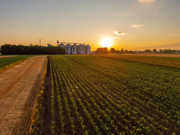 Agricultural scenery shows a large silo towering over green fields at sunset, with the golden light enhancing the rural landscape and the industry tools visible.