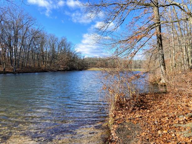 istock Fort Custer Recreation Area in Augusta, Michigan 2187016348