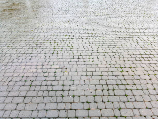 istock Wet cobblestones on a city square 2187019802