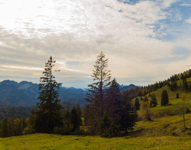 istock Sunny Day Mountain Rotwand Bavaria 2187021685