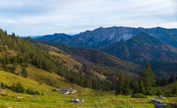 View in Valley from Mountain Rotwand Bavaria
