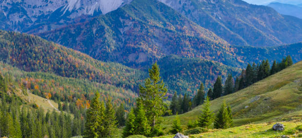 istock View from Mountain  Rotwand Bavaria in Valley 2187021963
