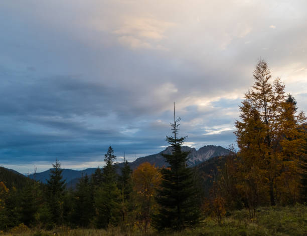 Seasons in Alps