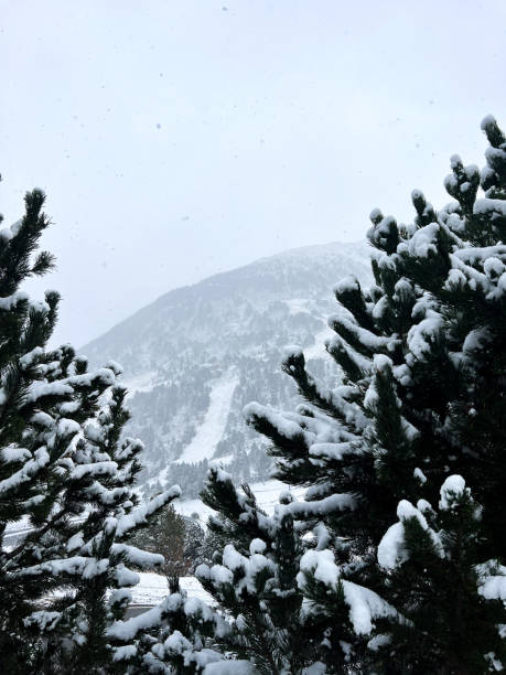 istock Snowy Christmas trees on ski slope, pyrenees mountains 2187023585