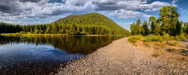 The tranquil waters of the Snake River reflect the lush forests and Signal Mountain in Grand Teton National Park. This area, known as Cattlemen's Bridge, holds a rich history as a vital crossing point for ranchers moving cattle across the Snake River in the early 1900s. The original wooden bridge, built to support local ranching activities, was later dismantled, but the site remains a peaceful reminder of the region's rugged frontier past.