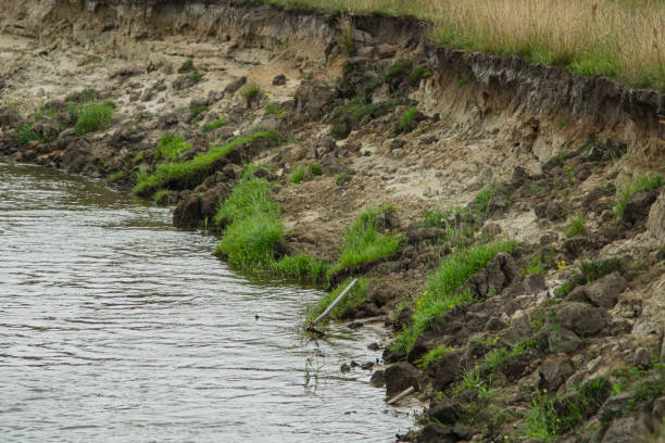 Erosion on the bank of a meandering river Bug