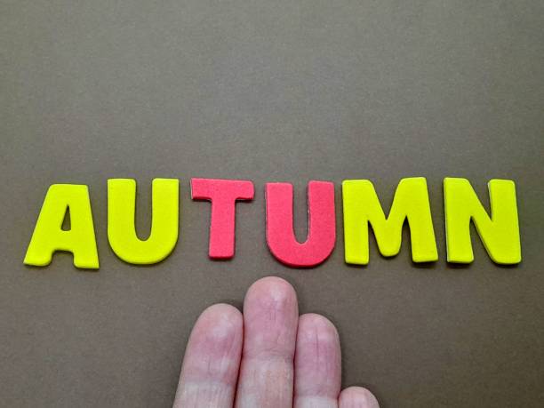 istock Autumn subtitle or text with gray background. 2187026293