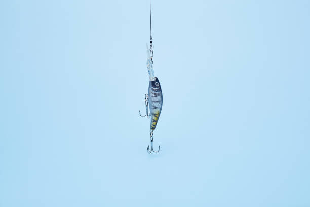 Lure fishing.