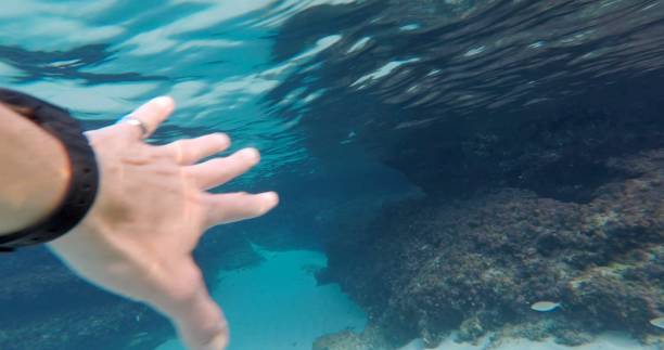 istock A hand reaches into clear waters above stunning coral reef formations 2187027336