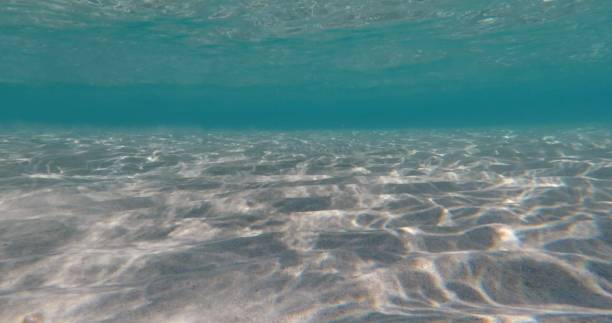 istock Underwater View of Crystal Clear Ocean with Subtle Waves and Background 2187027413