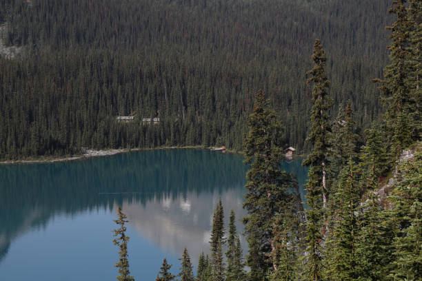 istock Looking down onto Lake O'Hara Yoho National Park, British Columbai, Canada 2187027573