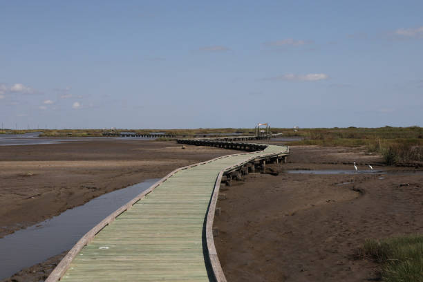 istock Boardwalk trail at Sea Rim State Park, Texas 2187028560