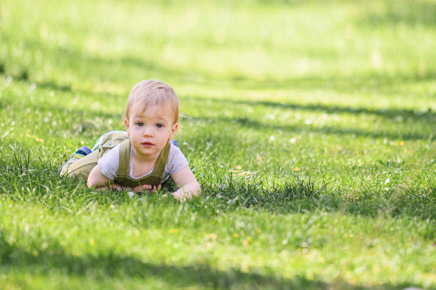 istock Toddler Lying on Grass in a Sunny Park 2187028632