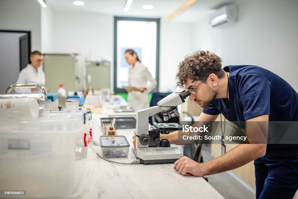 Lab Technician Diligently Examining Through Microscope Stock Photo ...
