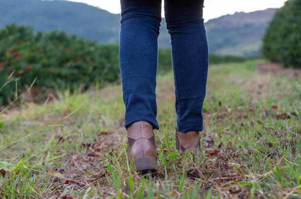 istock Woman farmer in coffee plantation 2187034270
