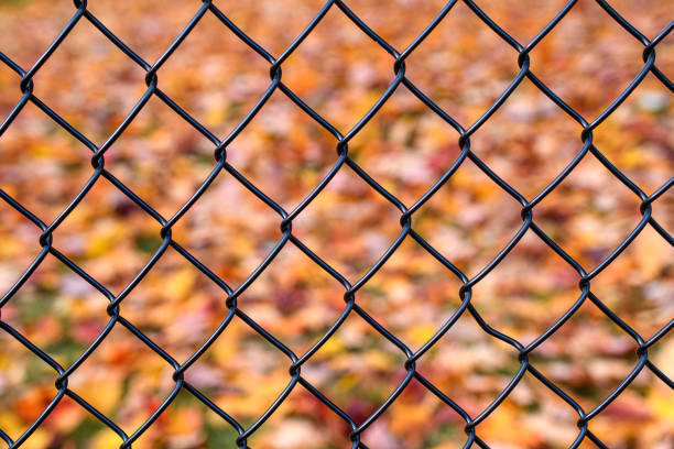 Close-up view of autumn tree branches with dry orange leaves in the foreground, set against a softly blurred backdrop featuring a white building with a red roof. The muted hills and industrial structures in the distance create a layered, atmospheric composition. The image conveys seasonal change, contrast, and quiet urban scenery.
