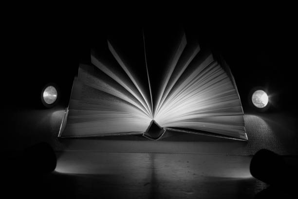 istock Open book, Reading, learning, education or home office concept. Black and white image, free copy space. 2187043011