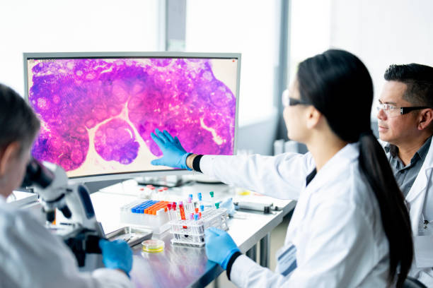 Working Together stock photo