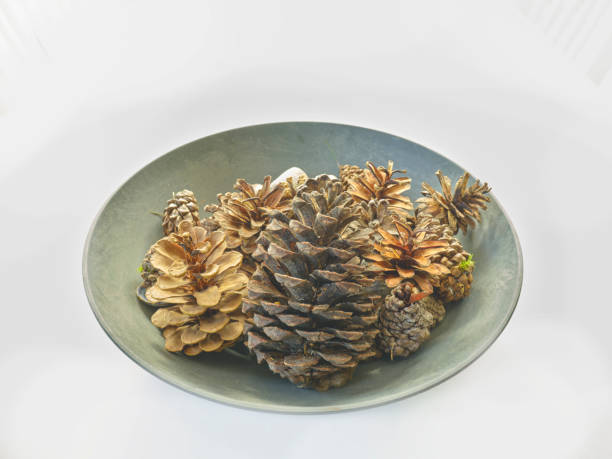 istock Cane cones in a clay bowl 2187046303