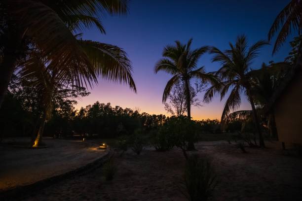 istock Twilight Serenity: A Tropical Bungalow Underneath the Palm Trees, Morondava, Madagascar 2187051058