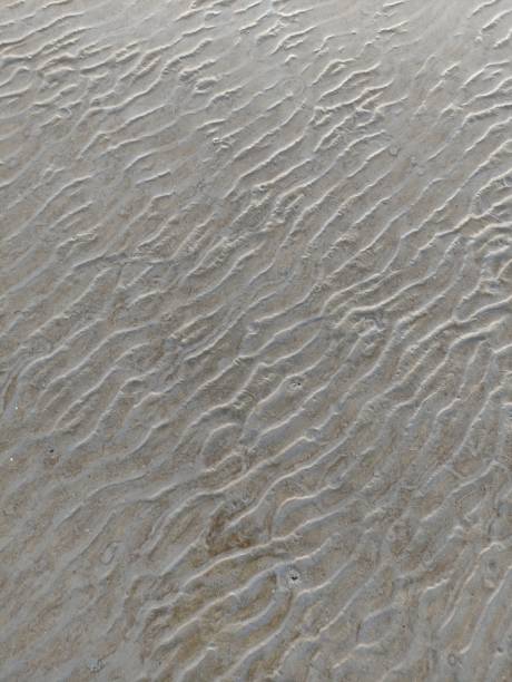 istock The texture of wet sand on the beach with a wave pattern is suitable for background illustrations 2187051727