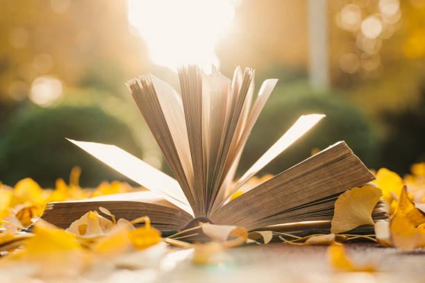 Opened book and autumn leaves