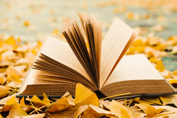 istock Opened book and autumn leaves 2187055043