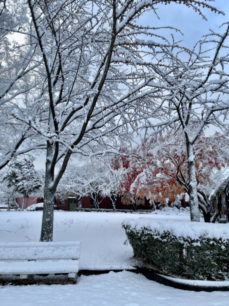 istock Snow Day Morning in City Park 2187056391