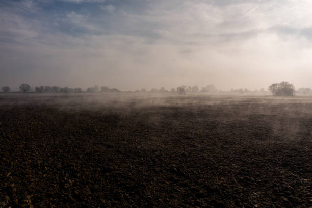 A serene view displays a gender-neutral, empty field in winter, with early morning mist hovering above the barren soil, evoking a sense of calm in a rural setting.