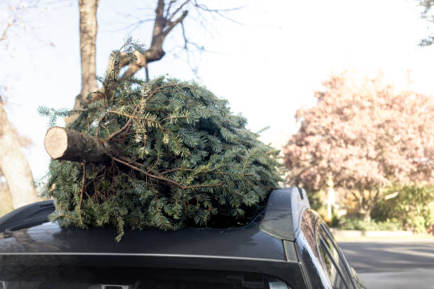 istock Freshly Cut Christmas Tree on Car 2187060052