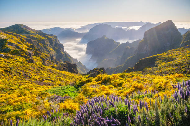 istock View from Pico do Arieiro, Portugal 2187062579