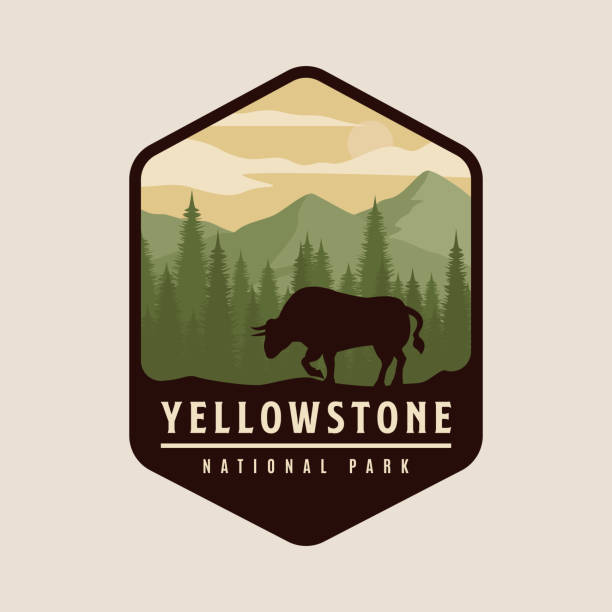 yellowstone national park logo vintage icon and symbol vector illustration design. yellowstone national park logo vintage icon and symbol vector illustration design bull pine stock illustrations