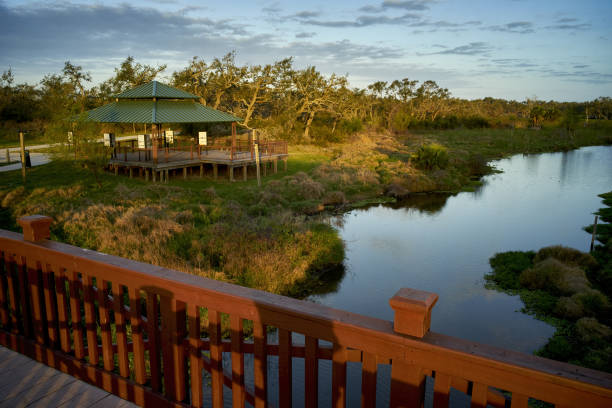 istock A peaceful scene with a wooden deck and gazebo. 2187066426